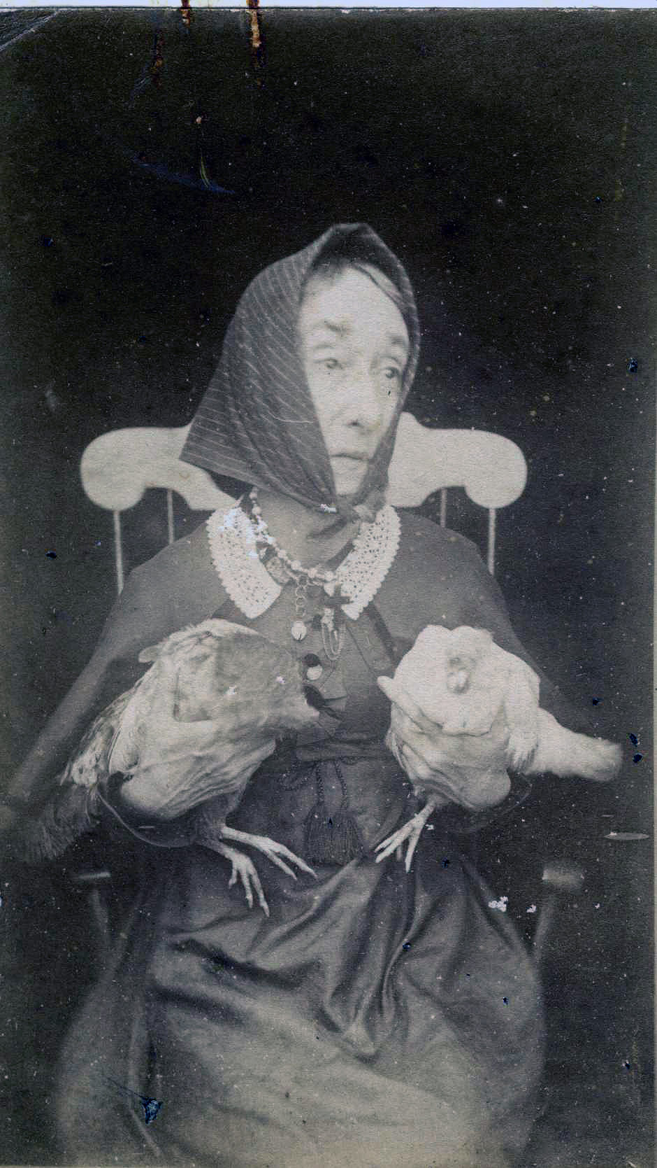 The Legendary Chicken Lady of Martha’s Vineyard