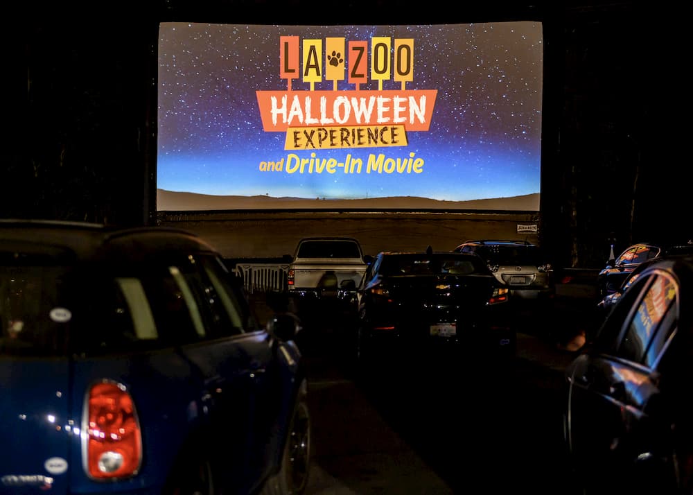 Cars at a drive-in move